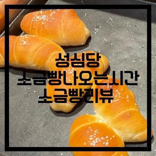 대전 성심당 소금빵 롯데백화점 대전점 추천, 빵나오는 시간 및...