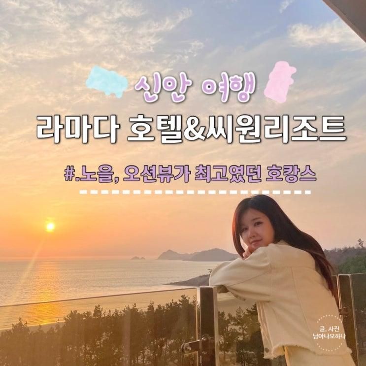 [신안 여행] 신안 씨원리조트... 실외 온수풀, 달보드레 카페 등