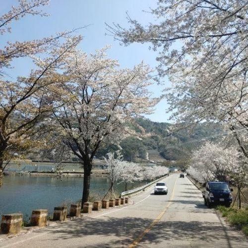 장수군 와룡자연휴양림 야영장 (2022. 04. 16 ~ 04. 17)...