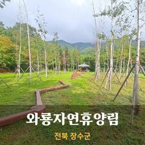 전북 장수군 와룡자연휴양림에서 휴가 즐기기!
