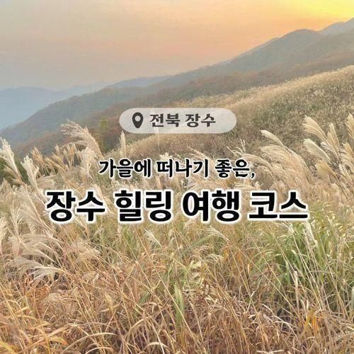 코스 :: 와룡자연휴양림 치유의 숲, 장안산 억새밭, 583양조장...