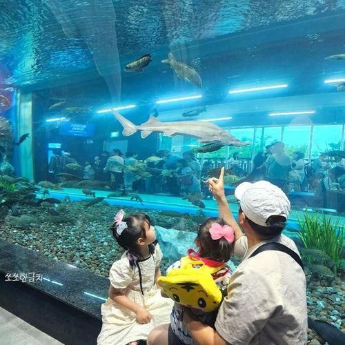 충북 괴산 민물고기 아쿠아리움 입장료, 주차 아이와 가볼만한곳
