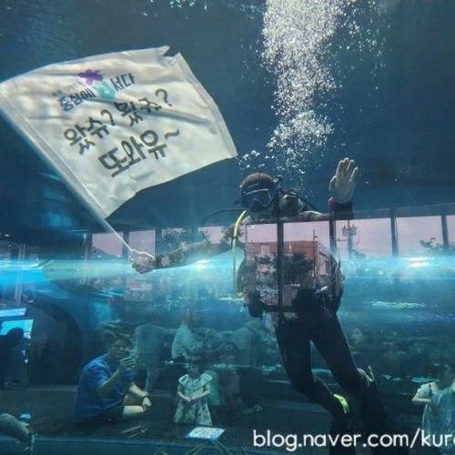 충북 괴산여행 민물고기 아쿠아리움 가족들과 아이데리고...