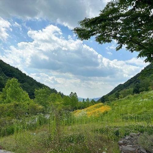 청주근교 아이와 가볼만한곳 괴산 성불산자연휴양림 동화의 숲