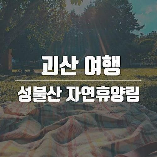 괴산여행│괴산아이갈만한곳│성불산자연휴양림...