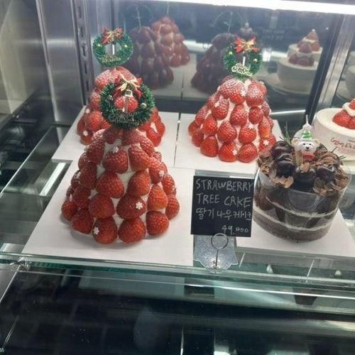 까사디차차 2탄 : 크리스마스 트리와 겨울 딸기 신메뉴 생겼어요!