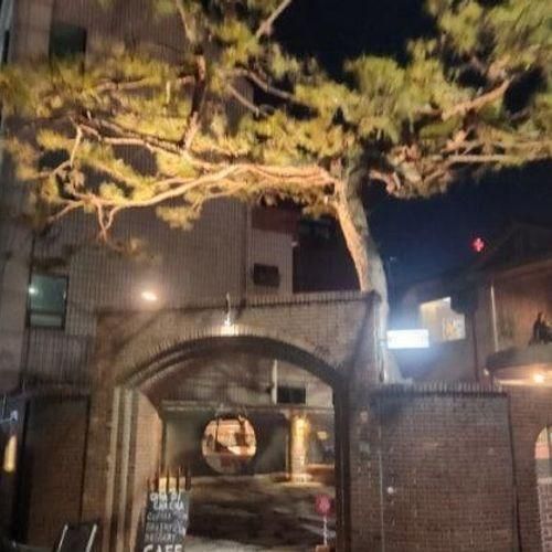 경기도 이천시내 가볼만한 곳 까사디차차 감성카페 방문후기...