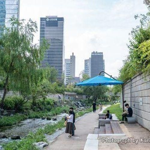 서울 혼자여행 혼자놀기 시원한곳 산책하기 좋은곳 청계천 보신각