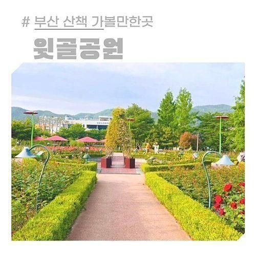 부산 장미공원 꽃구경 산책 정관 윗골공원 5월 가볼만한곳