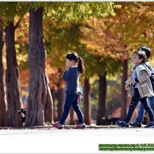 기장군 윗골공원 메타세콰이아길