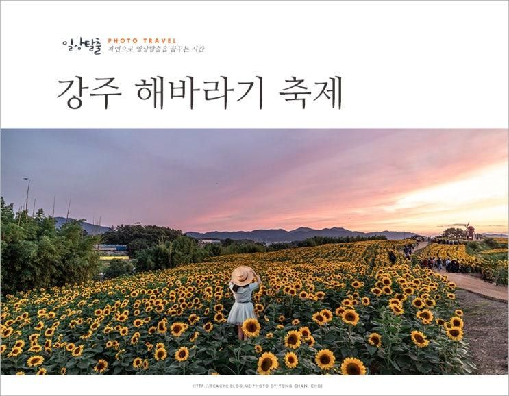 여행 함안 가볼만한곳 여름 해바라기 축제 강주 해바라기 마을