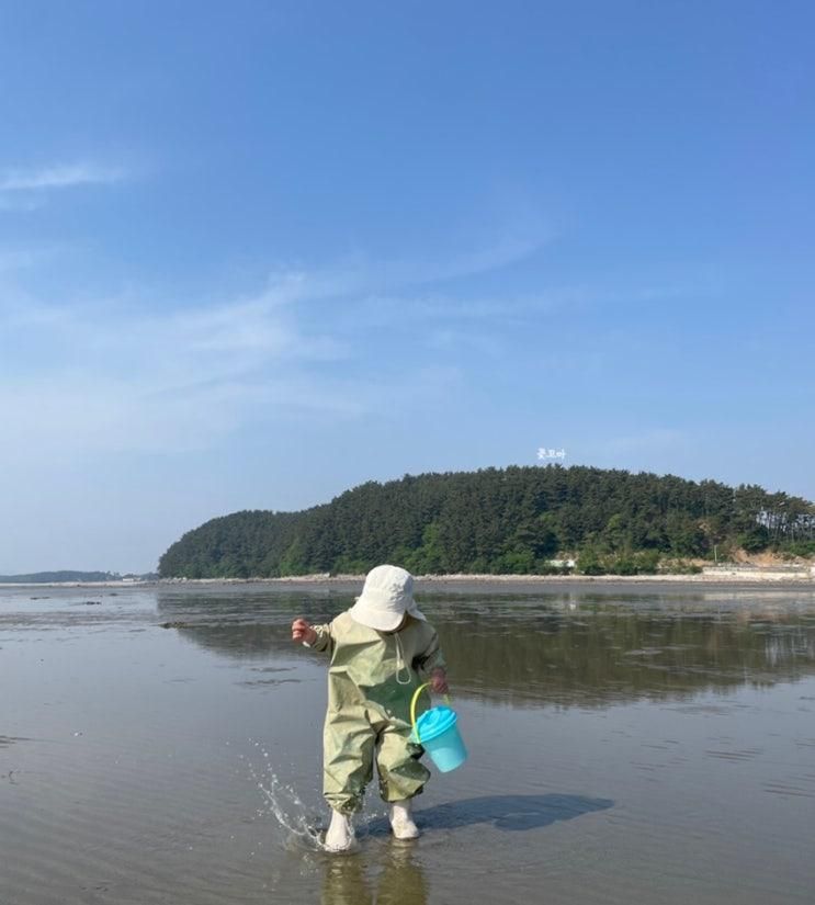 아이랑 태안 갯벌체험 진산리 어촌계 행복마트 찐후기