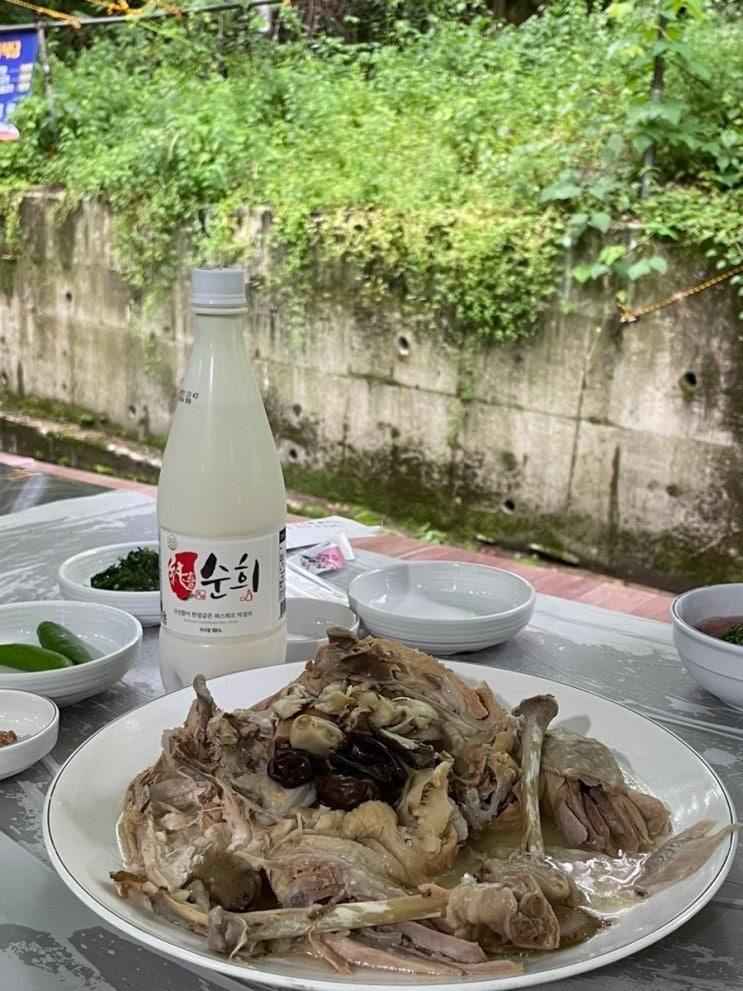 팔공산 계곡 식당 도깨비식당ㅣ금화계곡 백숙 맛집