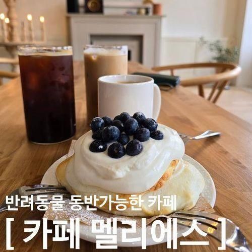 분위기좋은 광주 회덕동맛집 "카페 멜리에스"방문후기