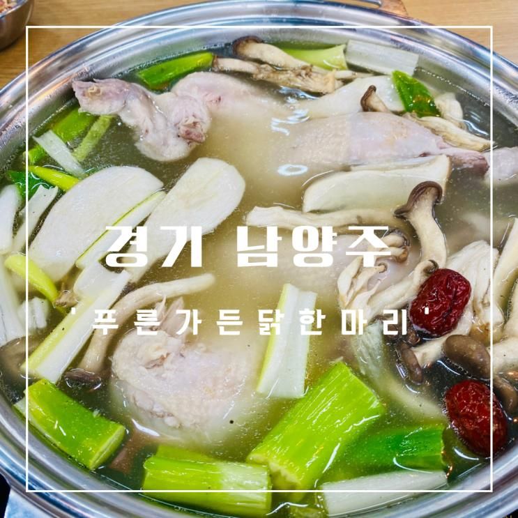 경기 남양주 백숙 푸른가든 닭한마리 수영장 식당