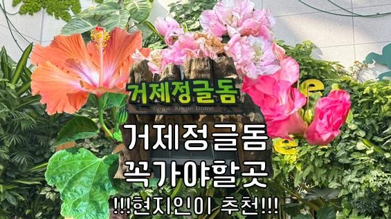 거제도 가볼만한곳 정글돔 거제식물원 현지인추천