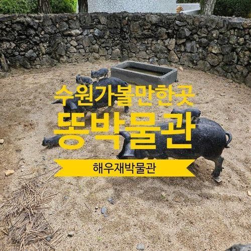 [경기도 수원시] '똥'에 관한 이야기-해우재 박물관(똥박물관)