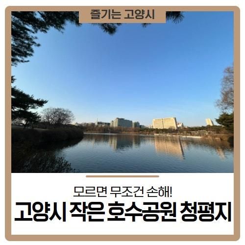 모르면 손해보는 고양시 숨은 명소 일산 호수공원 청평지