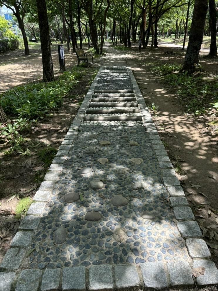 맨발로 걷는 일산호수공원 청평지 솔내음길 숲과 나무들