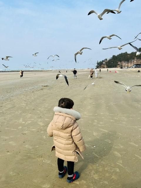 고창 아이랑 가볼만한곳 추천/ 구시포 해수욕장/ 갈매기...