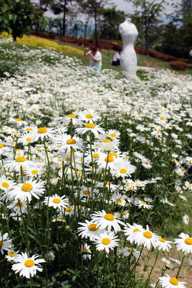 대구 산책로 서구 그린웨이 이현공원 데이지 중리체육공원...