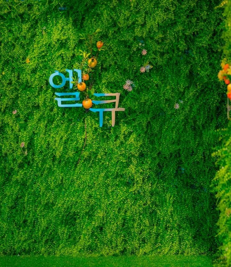 경기도 안양 범계 카페 추천 엘큐카페, 호계동 디저트 맛집