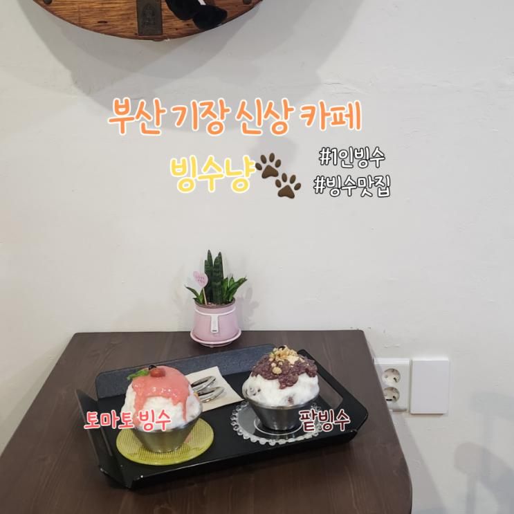 [블챌/부산 카페] 부산 기장 1인빙수 맛집 빙수맛집 #빙수냥#