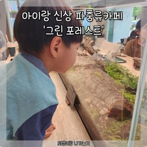 서울 청계산 입구역 파충류 카페 그린포레스트 아이랑