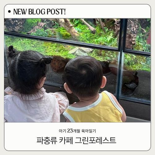 강남 아기랑 갈만한 곳 파충류 카페 그린포레스트