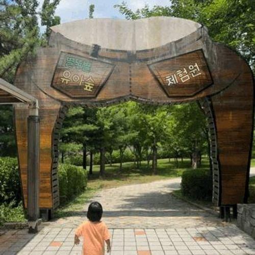 남양주 별내 별똥별 유아숲 체험원, 사진多/주차/상세후기...