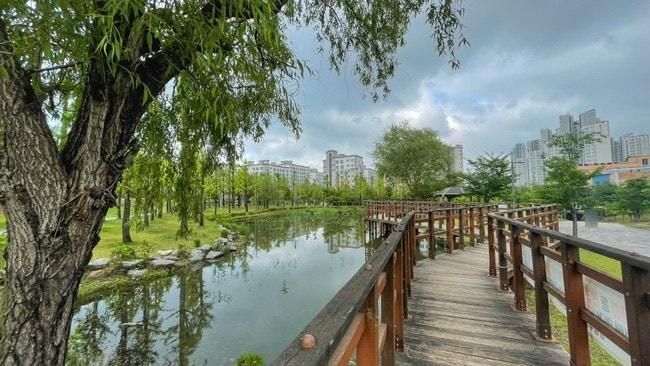 남양주 별내 산책코스 :: 별빛도서관 옆 은하수물길공원 연못과...