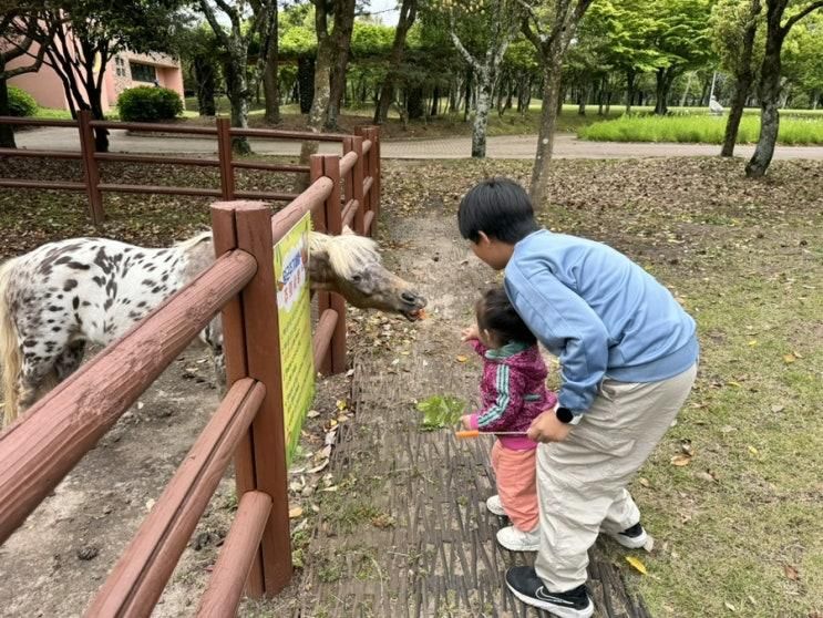 렛츠런파크 제주