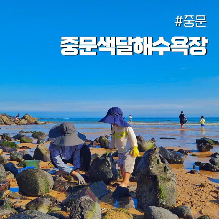 제주 중문색달해수욕장 모래놀이 주차 아기랑 바다