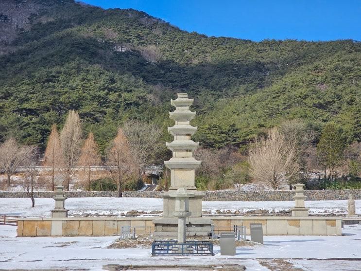 충남 보령 가볼만한곳 성주사지 천년역사관