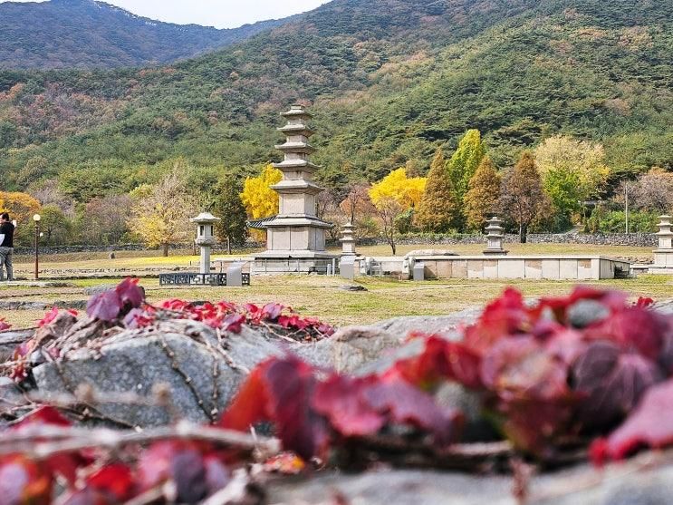 보령 여행 성주사지와 성주사지 천년 역사관 백제의 얼을 느낄...