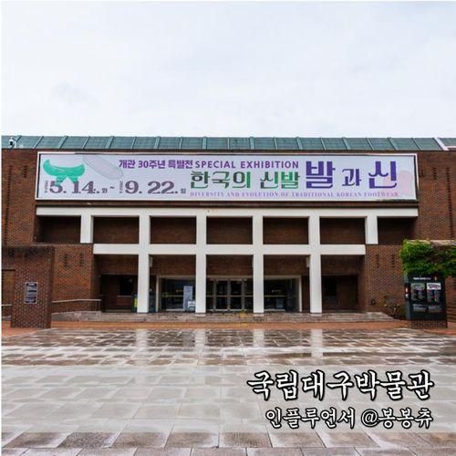 국립 대구박물관 어린이박물관 실내 아이와 가볼만한곳