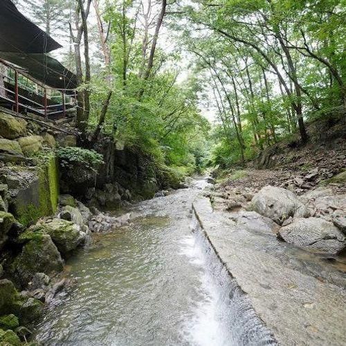 경기도 계곡 평상 백숙 시원한 장흥계곡식당