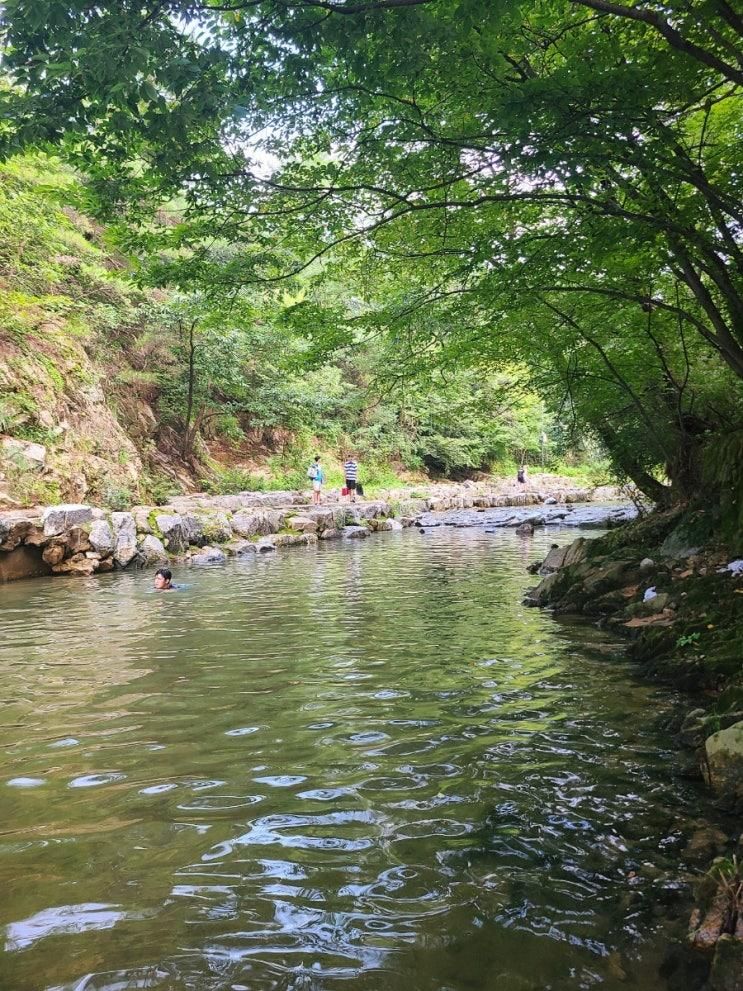 서울 계곡 나들이 관악산 물놀이장 신림 계곡(주차정보 8월...