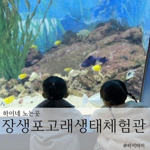 울산 장생포 고래박물관 고래생태체험관에서 돌고래 만나요...