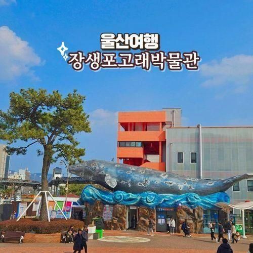 울산 장생포고래박물관  생태체험관 아이와 가볼 만한 곳