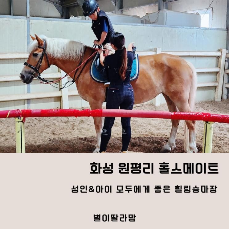 서울근교 화성승마장 홀스메이트에서 유소년승마체험