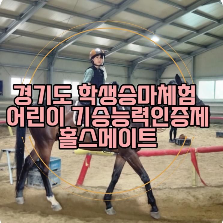 경기도 학생승마체험 어린이 기승능력인증제 홀스메이트