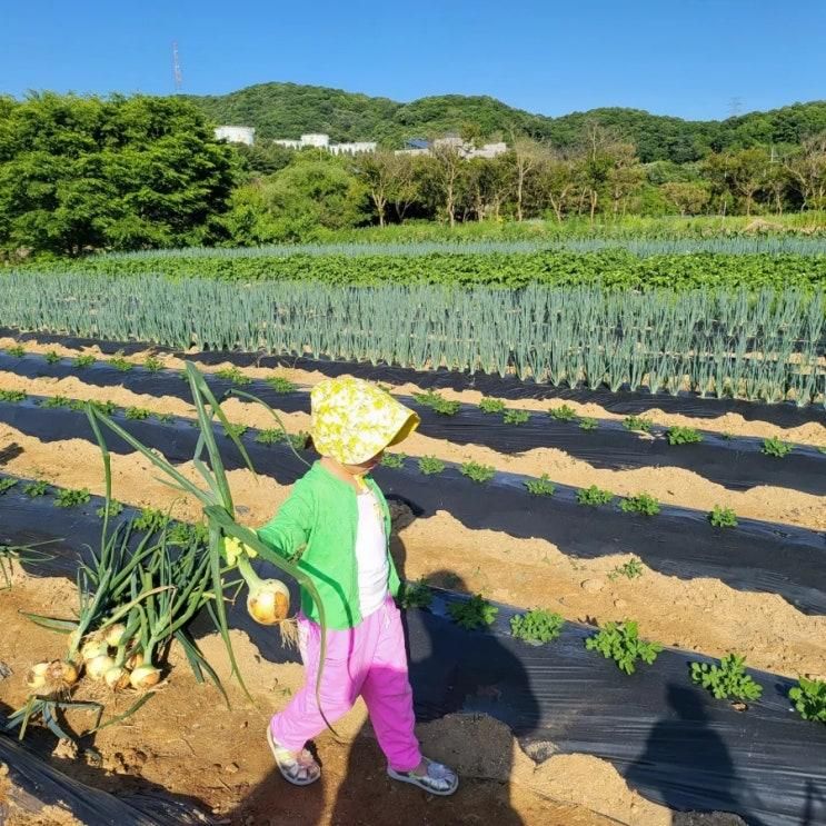 고기리 무지개농장 체험