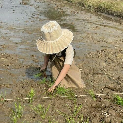 용인/화성 근교 아이랑 농촌체험 [연이랑명주랑]에서 모내기...