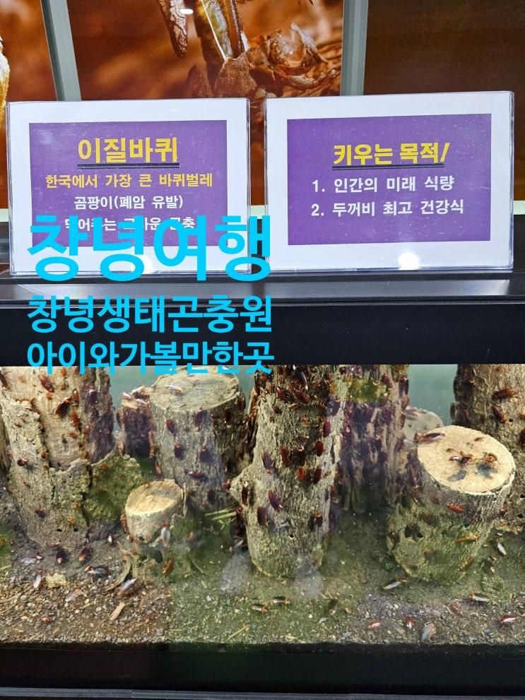 창녕 여행 아이와 가볼만한곳 창녕생태곤충원