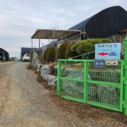 [김포 아이와함께 체험] 또바기 표고버섯 체험농장!