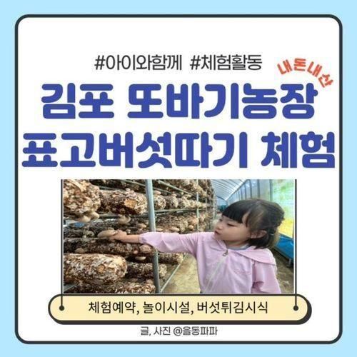 [아이와함께] 김포 또바기농장 표고버섯 체험하기(예약방법...