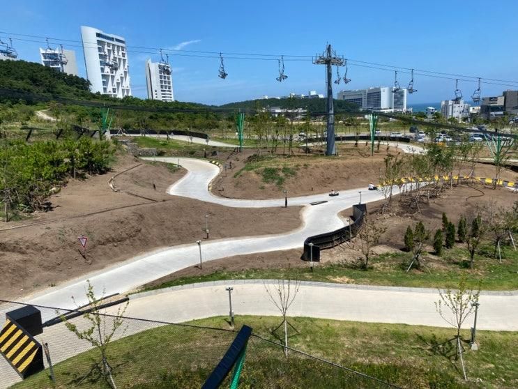 [아이와 부산여행 ] 부산 기장 놀거리 스카이라인 루지 부산