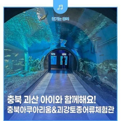 괴산 아이와 가볼만한곳! 충북아쿠아리움&괴강토종어류체험관