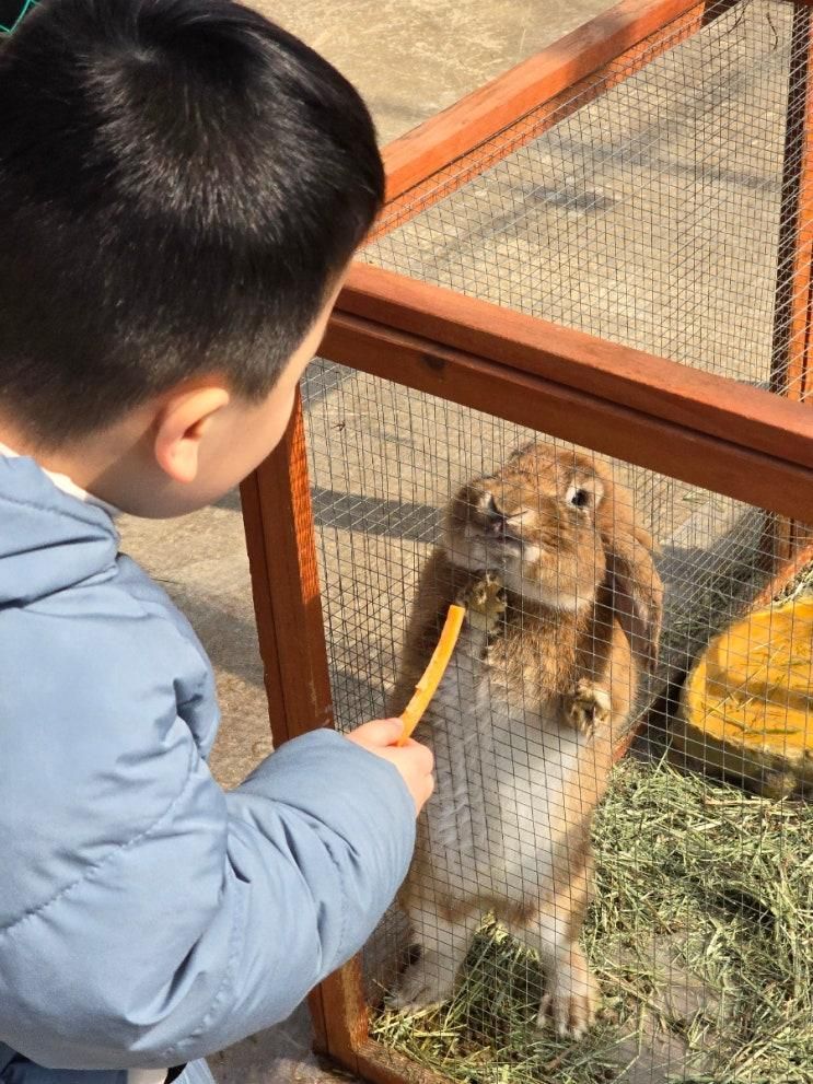 용인아이와가볼만한곳 동물체험을 할수있는 리프플레이스